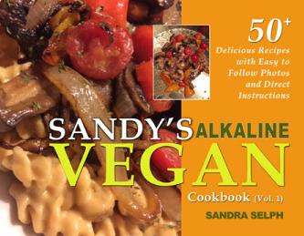 WebBook1Cover