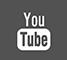 youtubeicon